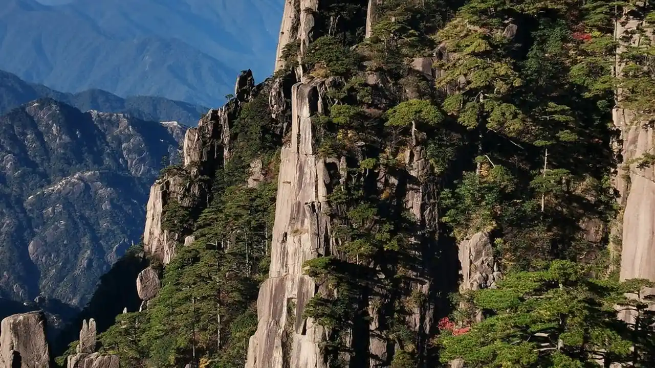 黑人大吊图片5