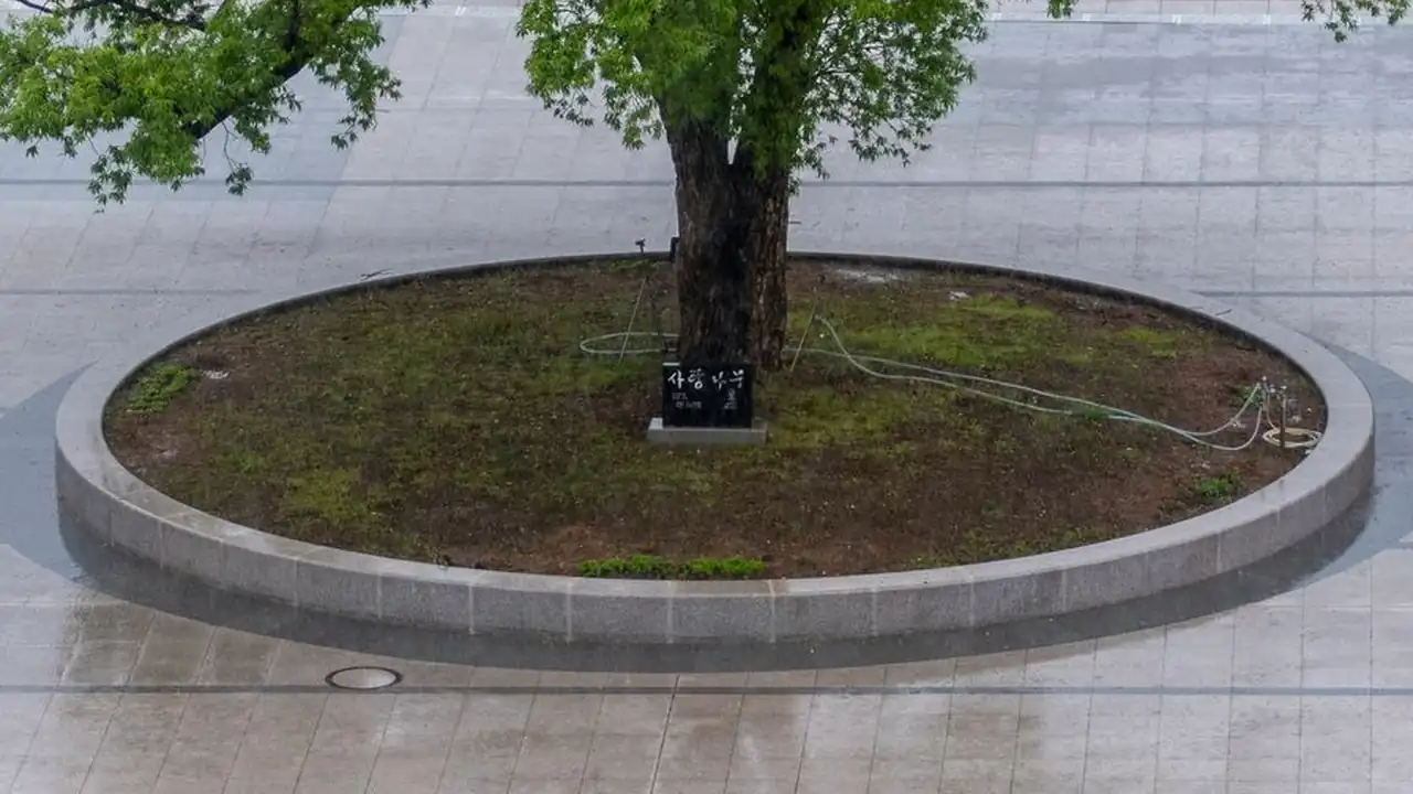 绝区零新手毕业值得吗